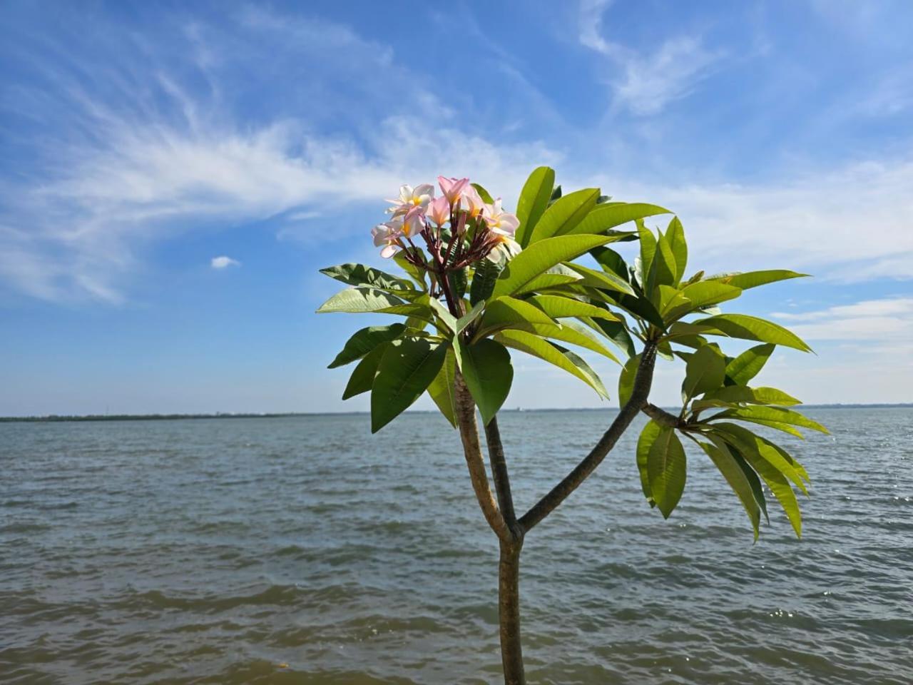 Lagoon Bay Resort Негомбо Экстерьер фото